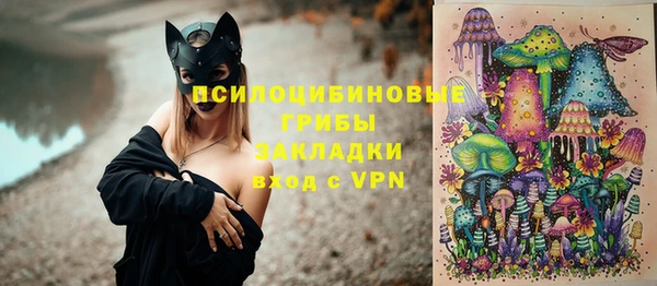 а пвп мука Надым