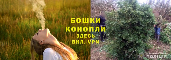 а пвп мука Надым