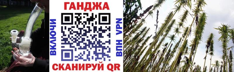 Купить  Судак  МАРИХУАНА VHQ 